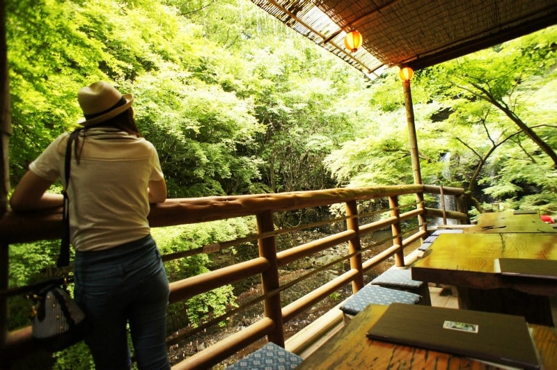 月待の滝　もみじ苑