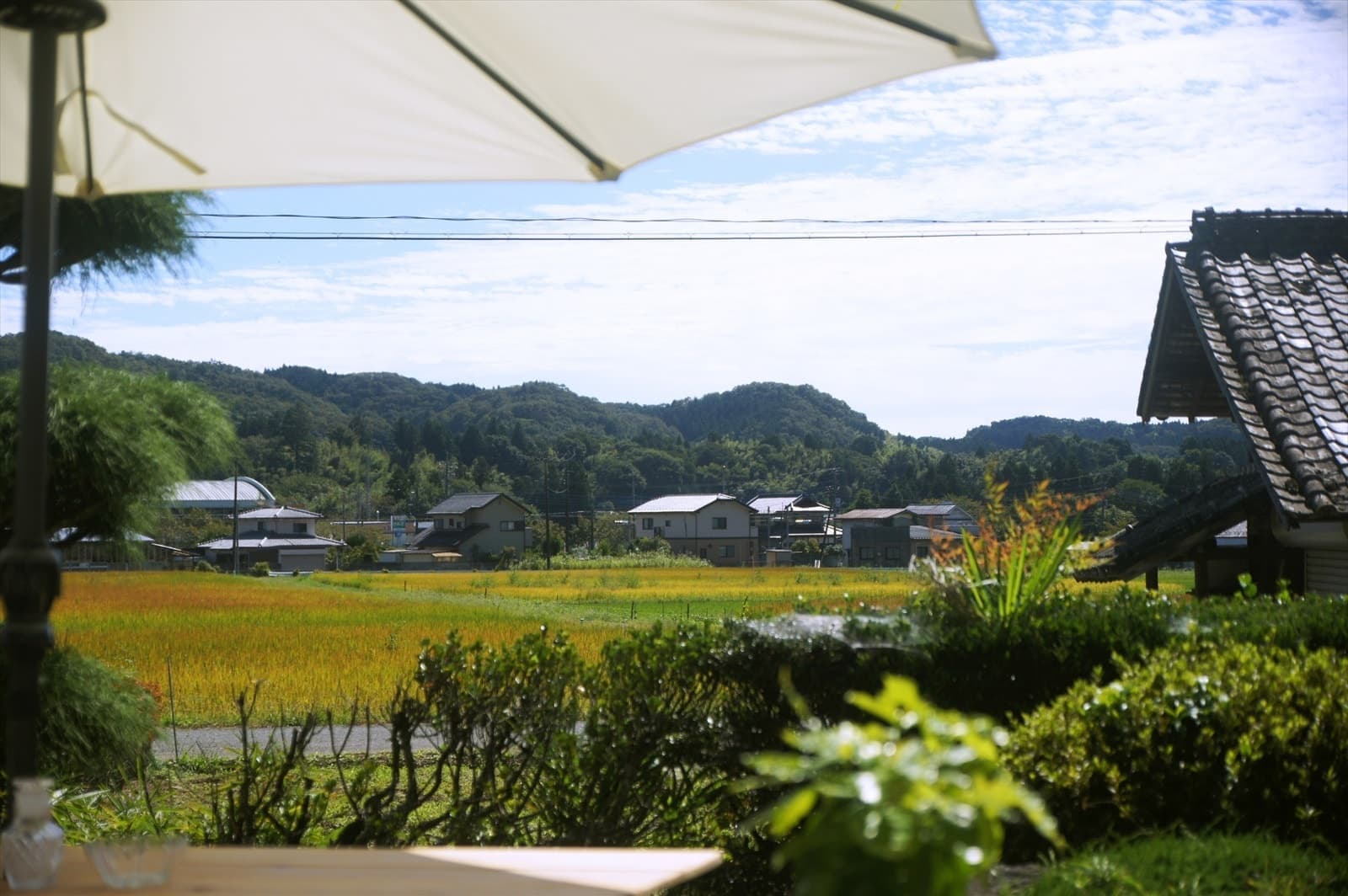 コーヒーと家具のお店「hajimari」ハジマリ